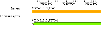 AC204313.3_FG001.png