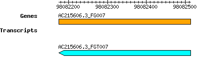 AC215606.3_FG007.png