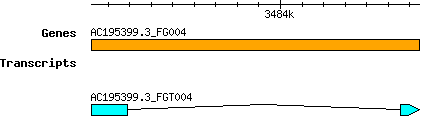 AC195399.3_FG004.png