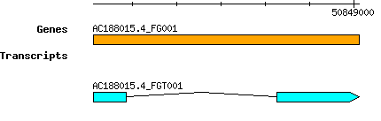 AC188015.4_FG001.png