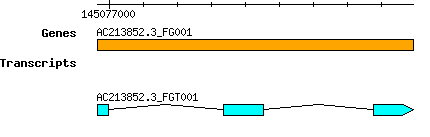 AC213852.3_FG001.png