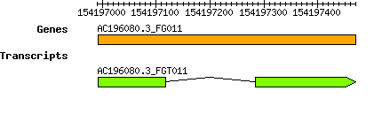 AC196080.3_FG011.png
