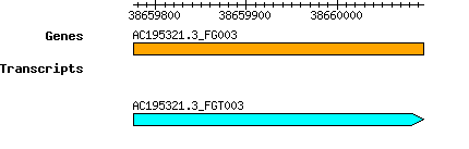 AC195321.3_FG003.png