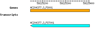 AC204377.3_FG001.png