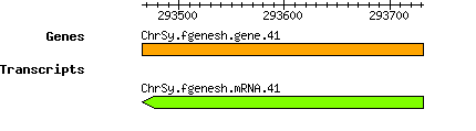 Osativa_ChrSy.fgenesh.gene.41.png