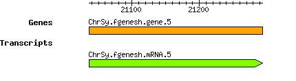 Osativa_ChrSy.fgenesh.gene.5.png