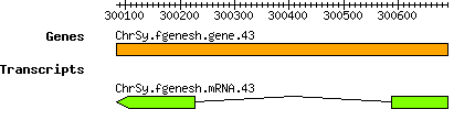 Osativa_ChrSy.fgenesh.gene.43.png