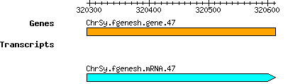 Osativa_ChrSy.fgenesh.gene.47.png
