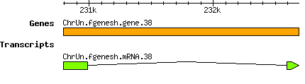 Osativa_ChrUn.fgenesh.gene.38.png
