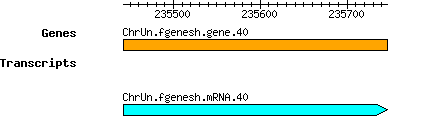 Osativa_ChrUn.fgenesh.gene.40.png