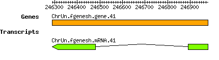 Osativa_ChrUn.fgenesh.gene.41.png