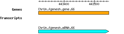 Osativa_ChrUn.fgenesh.gene.66.png