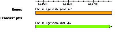 Osativa_ChrUn.fgenesh.gene.67.png