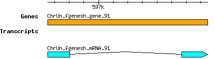 Osativa_ChrUn.fgenesh.gene.91.png
