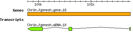 Osativa_ChrUn.fgenesh.gene.18.png