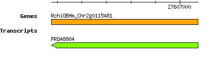 Rchinensis_RchiOBHm_Chr2g0115481.png