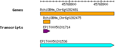 Rchinensis_RchiOBHm_Chr6g0282481.png