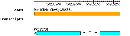 Rchinensis_RchiOBHm_Chr6g0286861.png