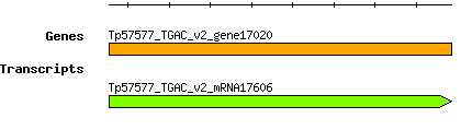 Tpratense_Tp57577_TGAC_v2_gene17020.png