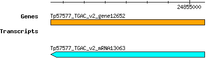 Tpratense_Tp57577_TGAC_v2_gene12652.png