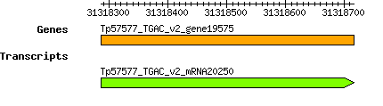 Tpratense_Tp57577_TGAC_v2_gene19575.png