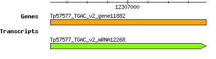 Tpratense_Tp57577_TGAC_v2_gene11882.png