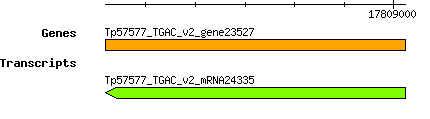 Tpratense_Tp57577_TGAC_v2_gene23527.png