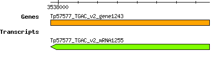 Tpratense_Tp57577_TGAC_v2_gene1243.png