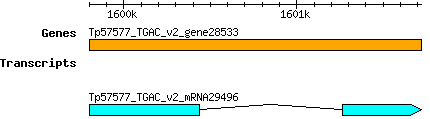 Tpratense_Tp57577_TGAC_v2_gene28533.png