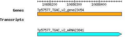 Tpratense_Tp57577_TGAC_v2_gene23054.png