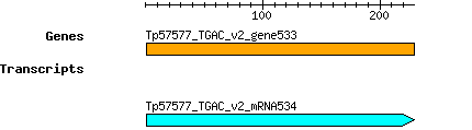 Tpratense_Tp57577_TGAC_v2_gene533.png