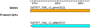 Tpratense_Tp57577_TGAC_v2_gene15221.png