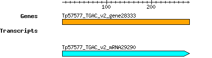 Tpratense_Tp57577_TGAC_v2_gene28333.png