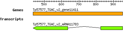 Tpratense_Tp57577_TGAC_v2_gene11411.png