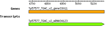 Tpratense_Tp57577_TGAC_v2_gene33011.png