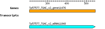 Tpratense_Tp57577_TGAC_v2_gene11476.png