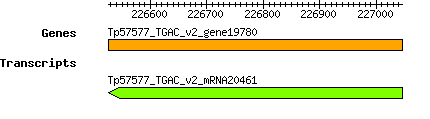 Tpratense_Tp57577_TGAC_v2_gene19780.png