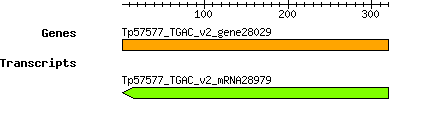 Tpratense_Tp57577_TGAC_v2_gene28029.png