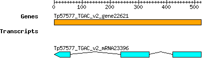 Tpratense_Tp57577_TGAC_v2_gene22621.png