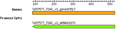 Tpratense_Tp57577_TGAC_v2_gene40517.png