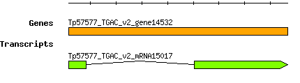 Tpratense_Tp57577_TGAC_v2_gene14532.png