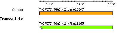 Tpratense_Tp57577_TGAC_v2_gene10807.png