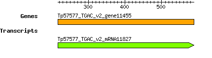 Tpratense_Tp57577_TGAC_v2_gene11455.png